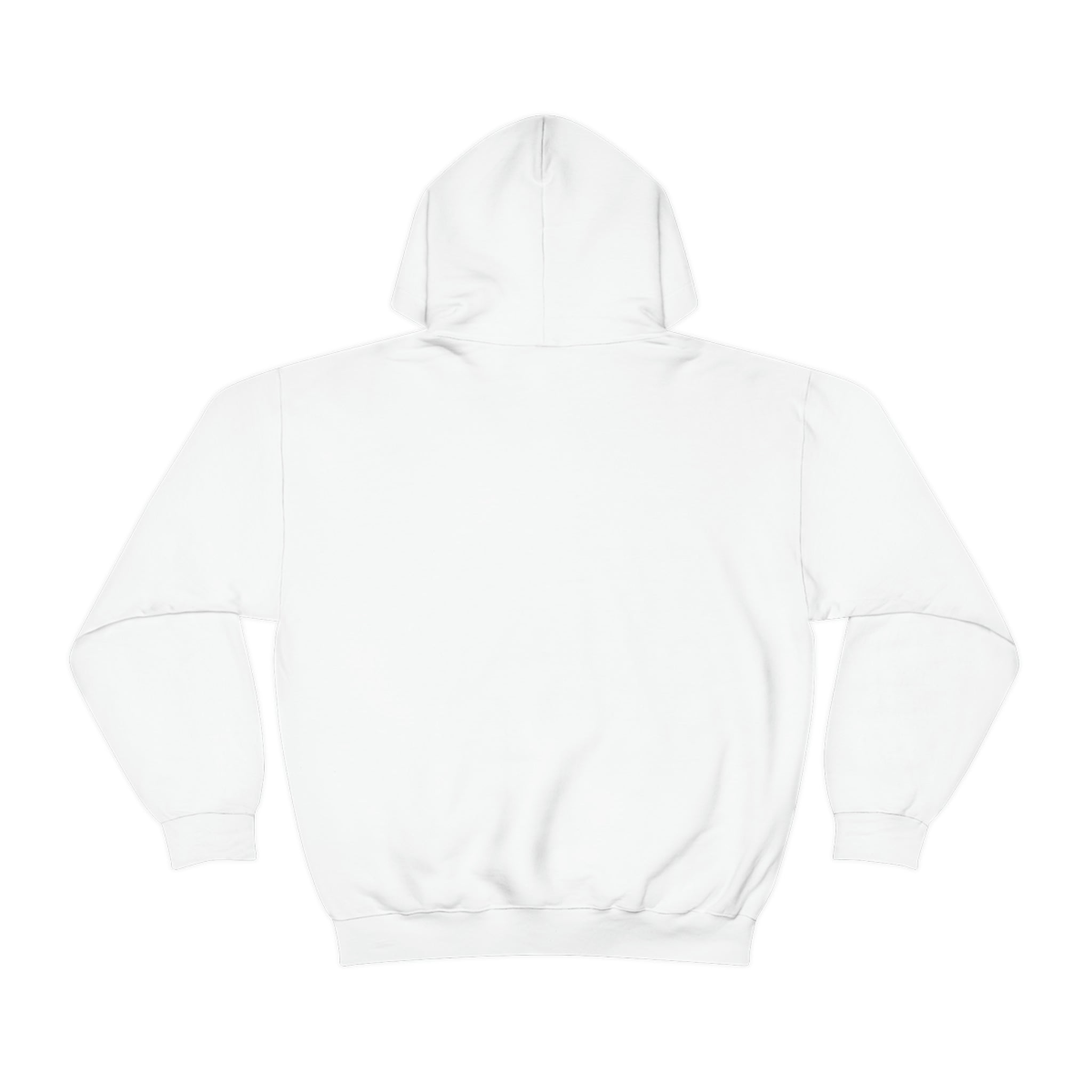HIGH PLACES HOODY